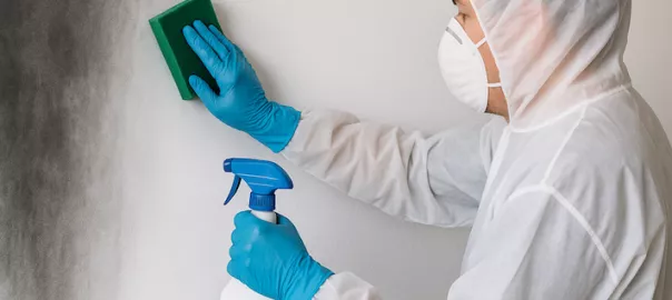 person rengör vägg med rökskador och luktborttagning